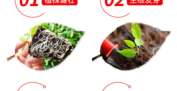 稀土微量元素水溶肥料-果滿園-貝德樂_05