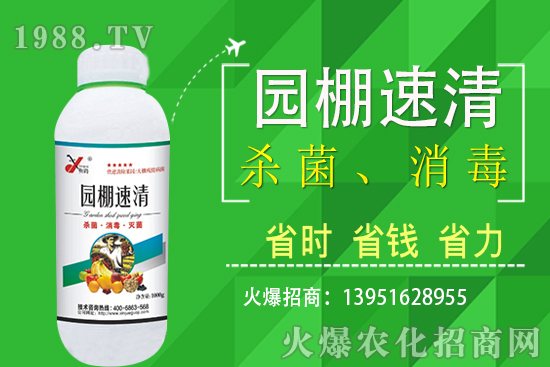 2020年11月5日局部花生價(jià)格報(bào)道！