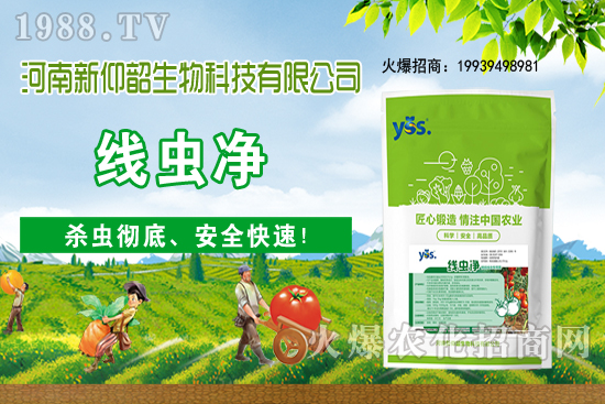 11��6�Շ�(gu��)��(n��i)С���r(ji��)���ව(w��n)���ֲ�С������(d��ng)��