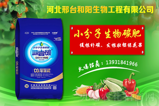 春節(jié)前小麥價(jià)格會(huì)不會(huì)漲？今日小麥價(jià)格行情！