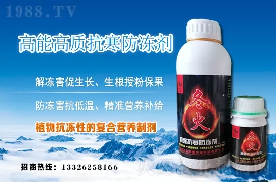 早春韭菜如何施肥？韭菜施肥方法和注意事項(xiàng)！