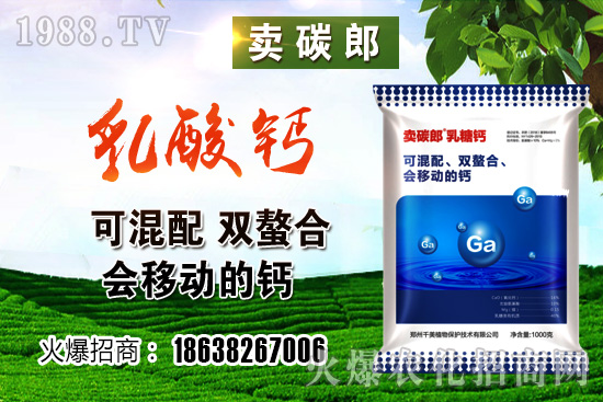 政策阻力較大，小麥價(jià)格整體高位趨穩(wěn)！