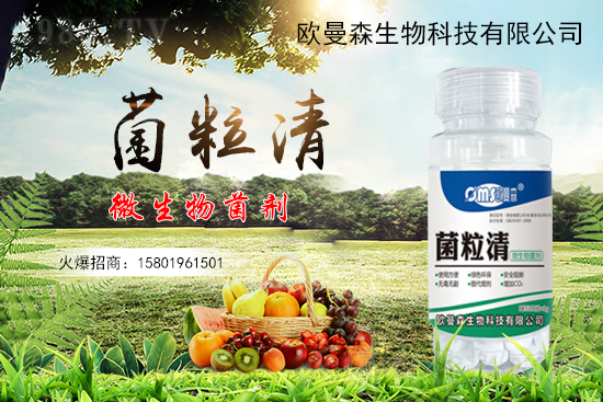 低溫辣椒“灰霉病”易發(fā)生，如何識(shí)別與防治辣椒灰霉病