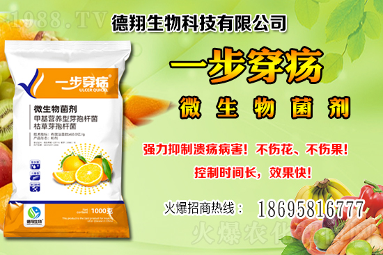 國(guó)產(chǎn)大豆價(jià)格穩(wěn)中有跌！2020-12-21黑龍江及部分地區(qū)大豆行情！