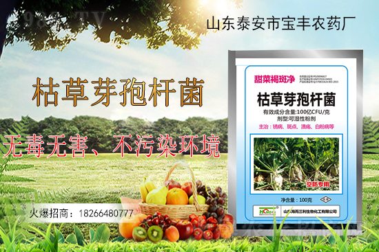 枯草芽孢桿菌能解決作物哪些問題？枯草芽孢桿菌在農(nóng)作物上的應(yīng)用！