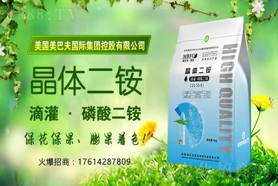 冬季茄果蔬菜蘸花如何避免藥害發(fā)生？蔬菜蘸花注意哪些問(wèn)題？