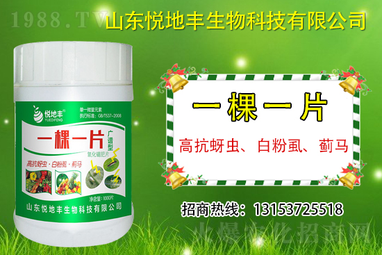 高抗蚜蟲、白粉虱、薊馬用什么打？一蟲不留？