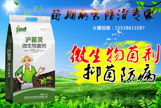 作物苗期病害“致命傷”，基本的預(yù)防方法您會(huì)了嗎？