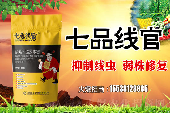     白菜根結(jié)線蟲危害極大！抓緊防治！白菜根結(jié)線蟲有效藥劑推薦！
