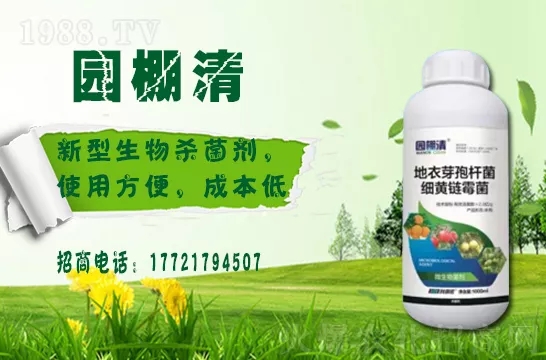 磷酸二氫鉀冬天用效果好嗎？磷酸二氫鉀如何提升植物抗寒能力的？