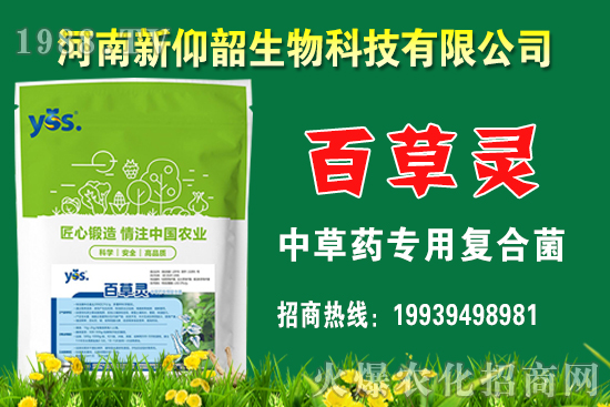 今年小麥價(jià)格還會漲嗎?2020年12月小麥價(jià)格行情如何?