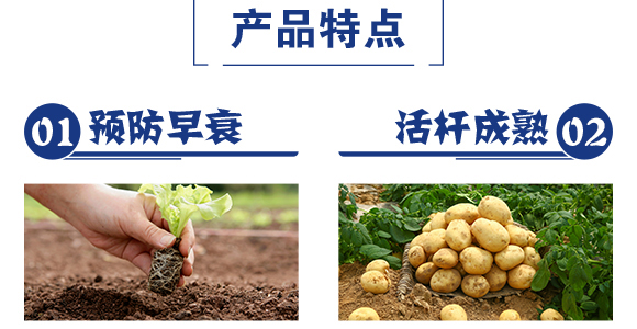 精品小麥高產套餐-賽普露_05