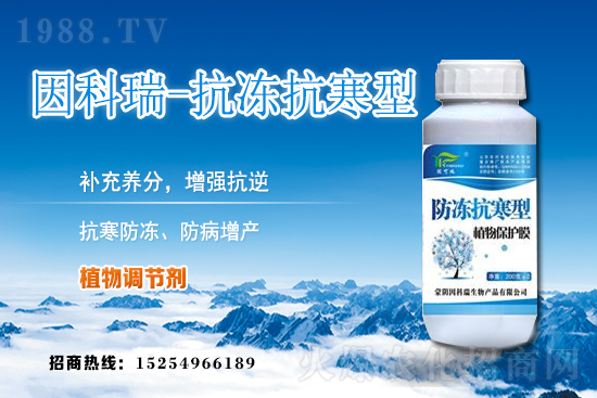 今日稻谷價(jià)格多少錢(qián)一斤？2020年12月9日稻谷價(jià)格行情