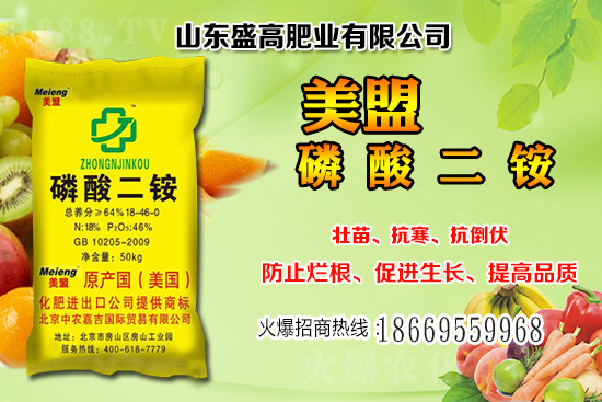 近期小麥價格還會繼續(xù)上漲嗎?12月小麥價格行情分析