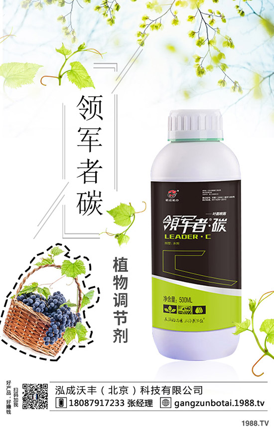 種植空心菜如何提高產(chǎn)量？這些種植方法要知道！