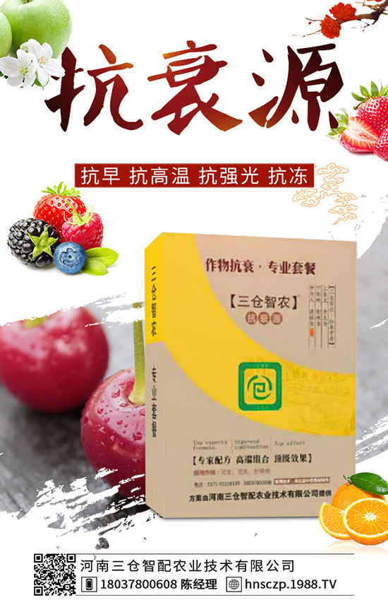 三月份適合種植什么蔬菜？三月份蔬菜種植注意事項(xiàng)！