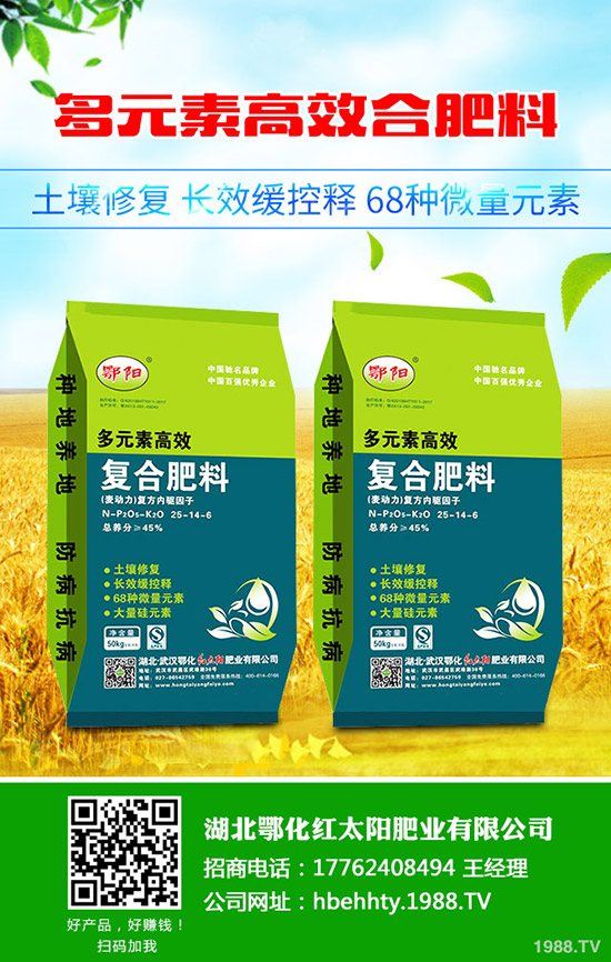 豆角種植時間，豆角種植方法要點！