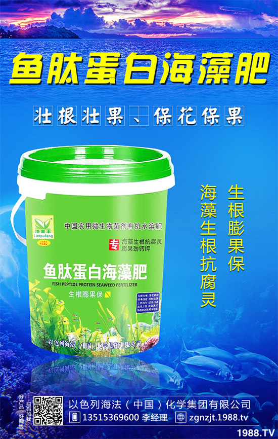 韭菜育苗需要移栽嗎？春季韭菜育苗移栽的注意事項(xiàng)