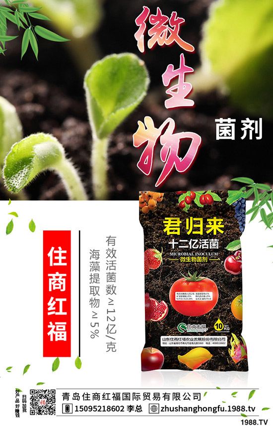 番茄肥害的典型癥狀有哪些，番茄發(fā)生肥害怎么辦？