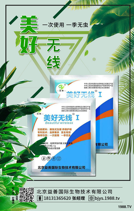 苦瓜的功效與作用有哪些，苦瓜的挑選方法！