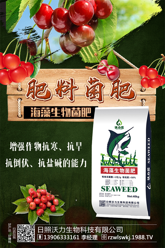 春玉米該如何種植？早春玉米高產(chǎn)種植技術(shù)要點(diǎn)