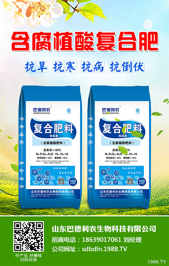 你知道春花生什么時(shí)候播種嗎？2020年春花生種植方法講解