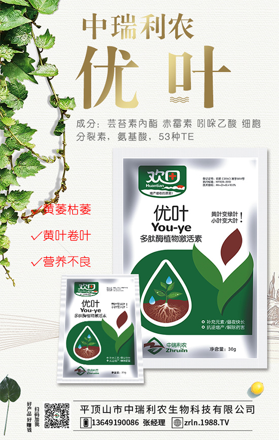 西瓜什么時間種植？西瓜伸蔓期管理要點(diǎn)！