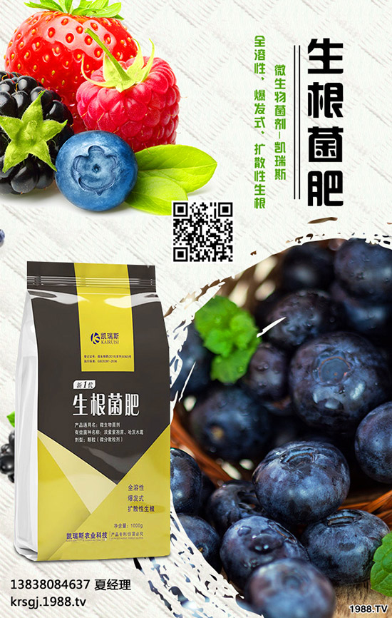 長壽花盆栽施肥要注意哪些問題，長壽花盆栽施肥要點(diǎn)！