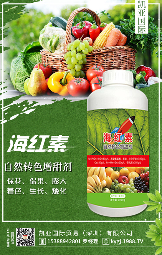 櫻桃蘿卜什么時間種植？櫻桃蘿卜種植方法！