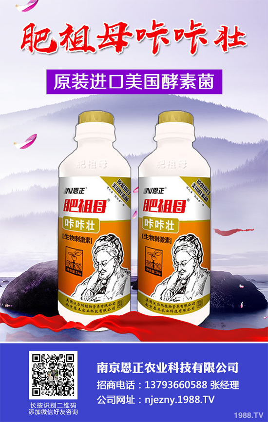 春季花椒樹常見的病蟲害有哪些?該如何防治?花椒病害的發(fā)生與防治