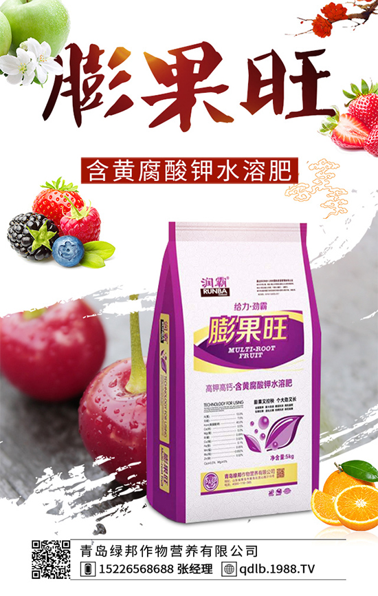 菜菔子有哪些神奇功效？萊菔子的功效作用及食用禁忌