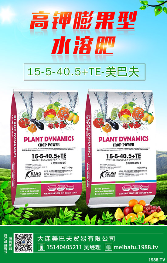 苦瓜怎么施肥，苦瓜施肥要點有哪些？