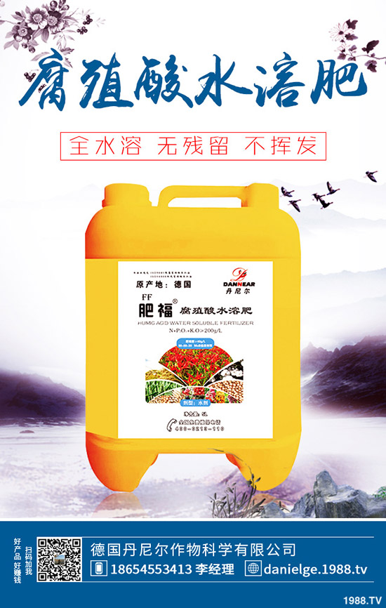 生菜怎么快速催芽？生菜催芽后管理方法！