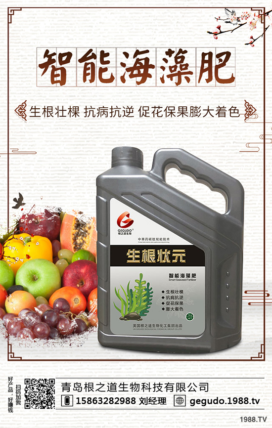 棉花種植怎么管理?棉花各個生長期的管理技術(shù)要點(diǎn)!