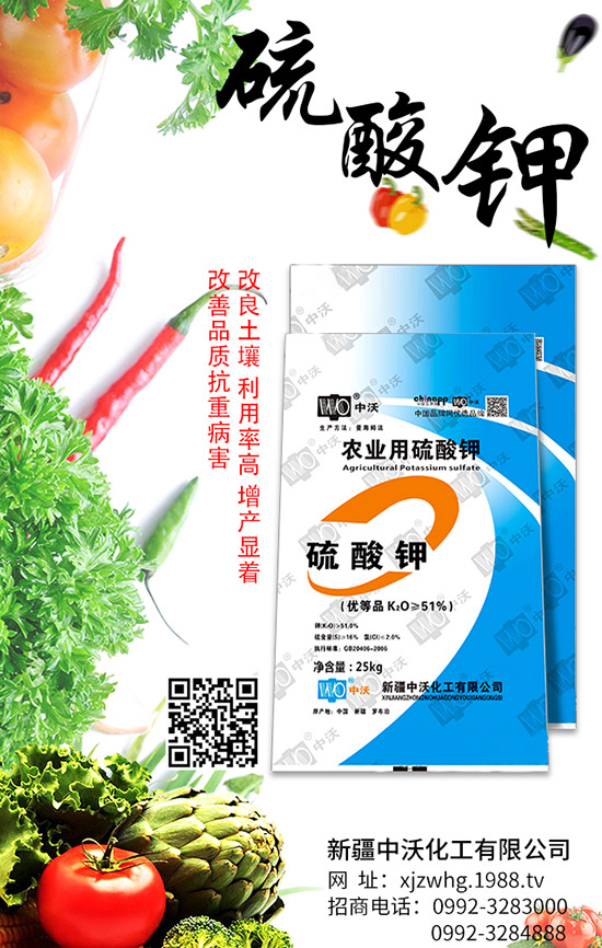 扁豆種植如何獲得高產(chǎn)？扁豆結(jié)莢期如何進(jìn)行管理？