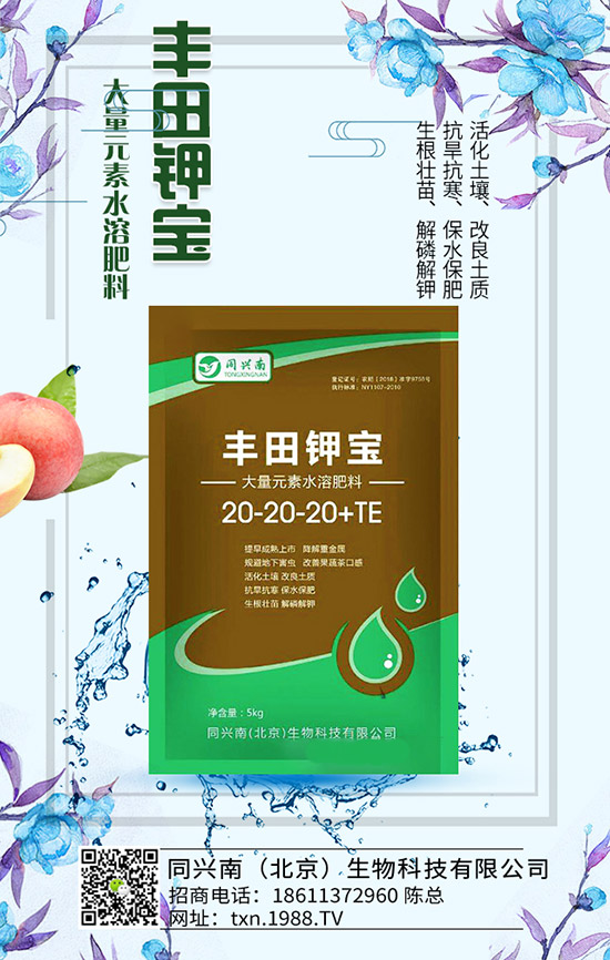 豌豆什么時(shí)候種，豌豆種植時(shí)間及種植要點(diǎn)！