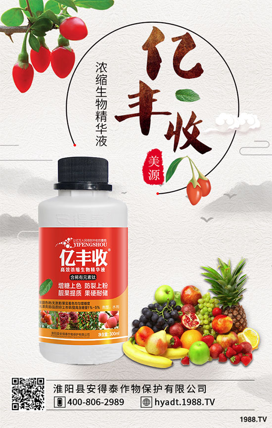 櫻桃樹(shù)流膠什么癥狀？櫻桃樹(shù)流膠怎么防治？