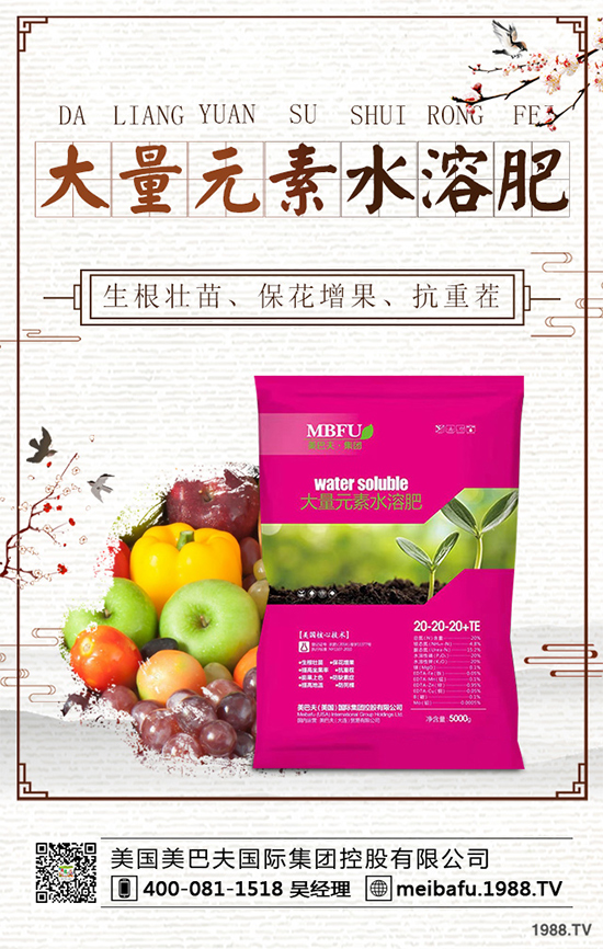 向日葵對(duì)種植條件有哪些？花菜的種植管理要點(diǎn)！