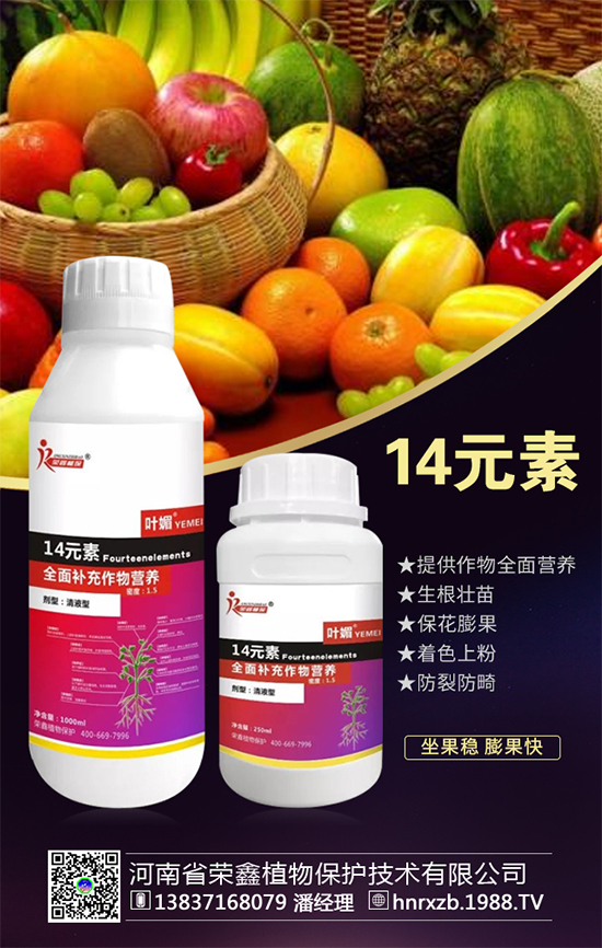 芹菜軟腐病有什么危害？芹菜軟腐病怎么防治好？