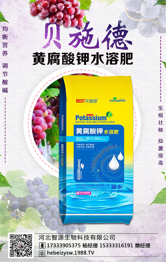 �۲˵ĠI(y��ng)�B(y��ng)�r(ji��)ֵ����Щ�������۲���ʲô��̎��