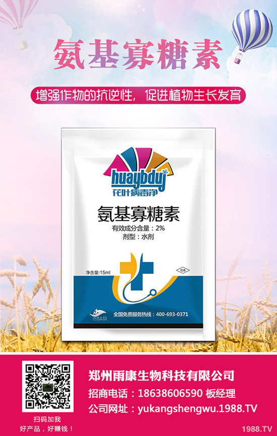 番茄發(fā)生肥害怎么辦？番茄肥害怎么快速恢復？