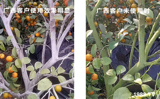 廣西客戶使用效果明顯和未使用時!