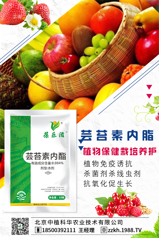 枸杞要怎么種植?枸杞水肥管理要點(diǎn)!