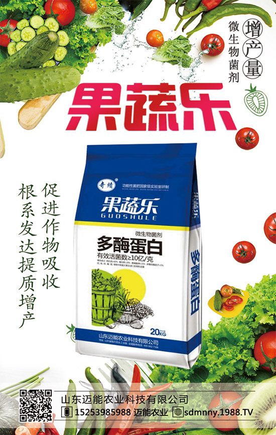 如何讓西瓜種子發(fā)芽？西瓜生長發(fā)育對環(huán)境條件的要求！	