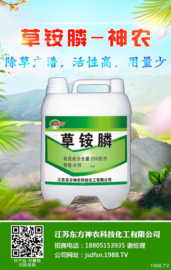 蒲公英種植如何實(shí)現(xiàn)高產(chǎn)？種植蒲公英效益如何呢？