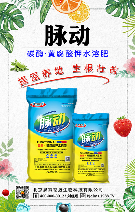 蒲公英藥用價(jià)值有哪些？蒲公英作用及功效！