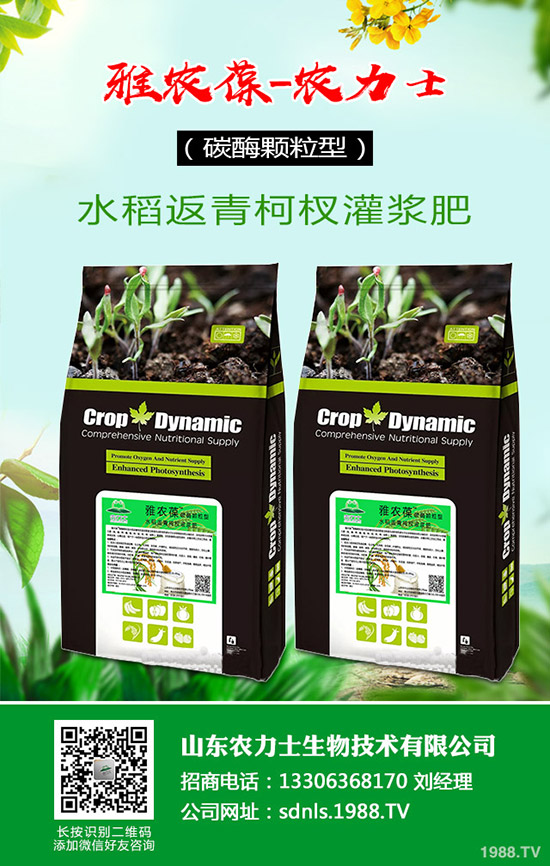     原料價格波動！復合肥成交受挫！2020年4月14日最新復合肥行情走勢分析：