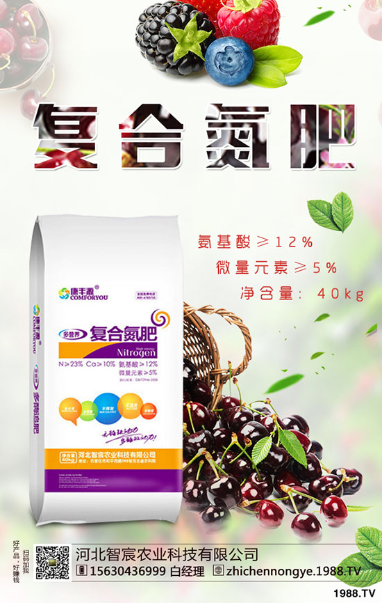 精品芒果種植技巧，施肥很關(guān)鍵！