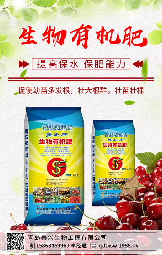 生姜該如何播種育苗？生姜高產(chǎn)栽培技術(shù)要點(diǎn)