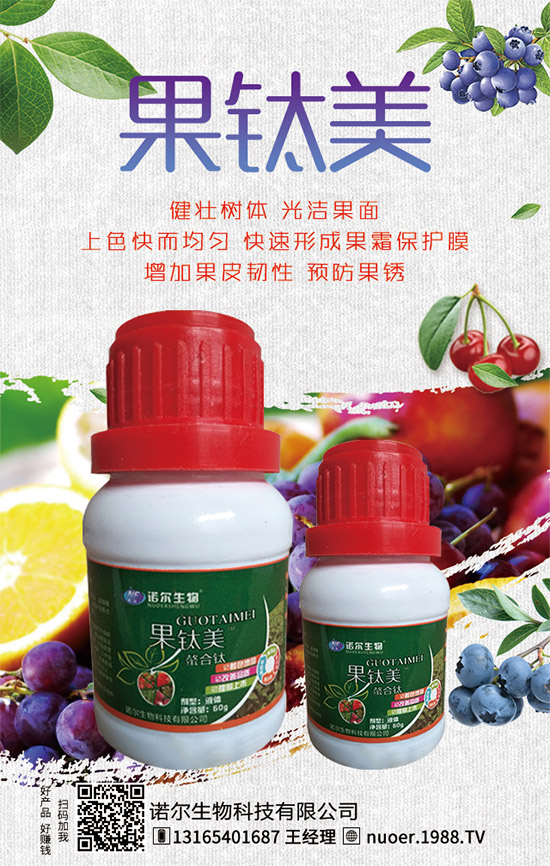 西葫蘆在什么時(shí)間種植?西葫蘆種植技巧有哪些?